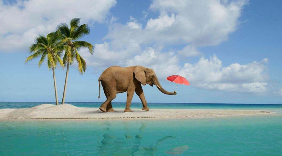 Andaman and Nicobar Islands wedding photography packages